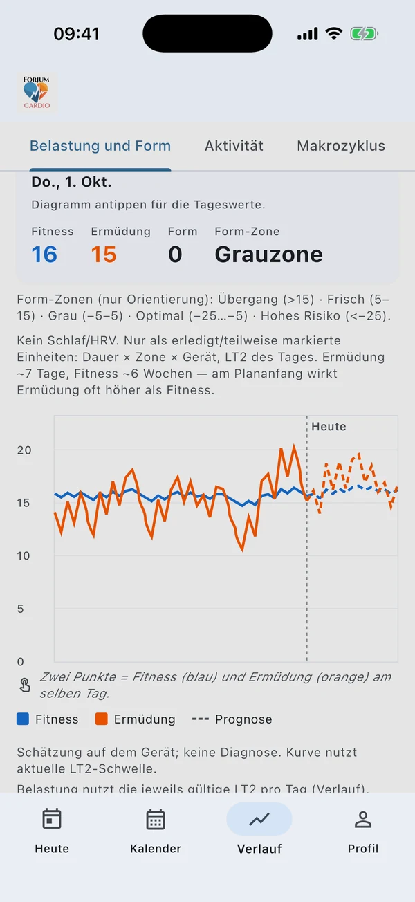 iPhone · Belastung und Form